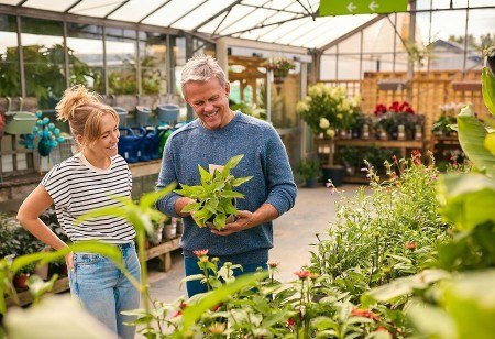 Die Hobbygärtner in OWL sollten sich vor dem Bepflanzen der heimischen Blumenbeete aber auch beim Kauf von Zimmerpflanzen unbedingt darüber informieren, welche Pflanzen giftig sind und somit Gesundheitsgefahren bergen. Foto: AOK/colourbox/hfr.