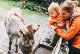 Symbolbild Heimat-Tierpark Olderdissen - Foto: Veit Mette