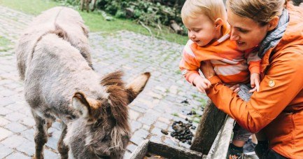 Symbolbild Heimat-Tierpark Olderdissen - Foto: Veit Mette