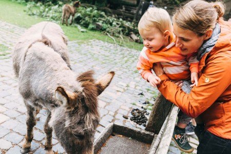 Symbolbild Heimat-Tierpark Olderdissen - Foto: Veit Mette