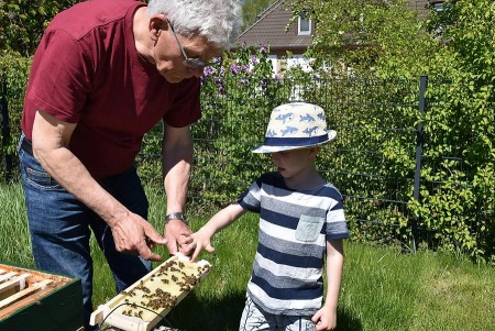Leo leckt Honig: Der Knirps darf bei Imker Hubert Otto direkt aus der Wabe schlecken. Foto © Huxarium Gartenpark Höxter