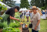 Pressebild Gartenfest MH (Midjourney)