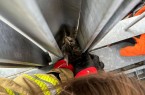 Feuerwehr Detmold Foto: C.Rieks
