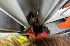 Feuerwehr Detmold Foto: C.Rieks