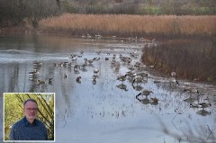 Foto: Matthias Füller - Auf dem Norderteich trifft man inzwischen eine ganze Reihe von Gänsen und anderen Wasservögeln an