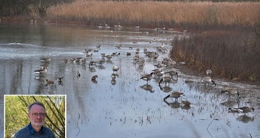 Foto: Matthias Füller - Auf dem Norderteich trifft man inzwischen eine ganze Reihe von Gänsen und anderen Wasservögeln an