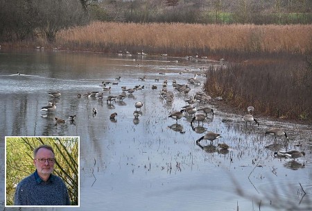 Foto: Matthias Füller - Auf dem Norderteich trifft man inzwischen eine ganze Reihe von Gänsen und anderen Wasservögeln an