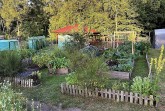 Blick in die Südstadtgärten Oerlinghausen mit individuell angelegten Beeten und Gemeinschaftsflächen. Foto: Privat