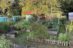 Blick in die Südstadtgärten Oerlinghausen mit individuell angelegten Beeten und Gemeinschaftsflächen. Foto: Privat