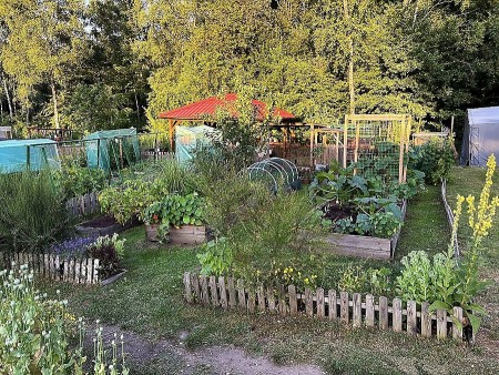Blick in die Südstadtgärten Oerlinghausen mit individuell angelegten Beeten und Gemeinschaftsflächen. Foto: Privat