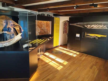 Haus_23_Gründerzeit-Zimmer_Blick_in_die_Austellung (2)