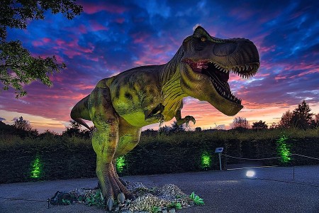 Lebensgroßer animatronischer T-Rex mit geöffnetem Maul bei den DinoLichtern in Höxter.