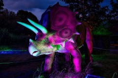 Beleuchteter animatronischer Triceratops bei den DinoLichtern in Höxter.