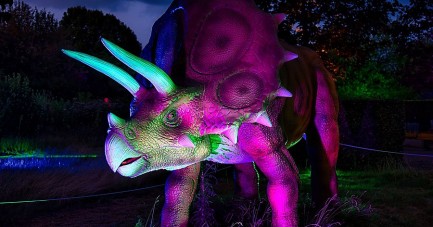 Beleuchteter animatronischer Triceratops bei den DinoLichtern in Höxter.