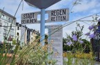 Wegweiser mit den Aufschriften „Stadt begrünen“ und „Regen retten“ zwischen Pflanzen in der Höxteraner Innenstadt.