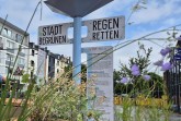 Wegweiser mit den Aufschriften „Stadt begrünen“ und „Regen retten“ zwischen Pflanzen in der Höxteraner Innenstadt.