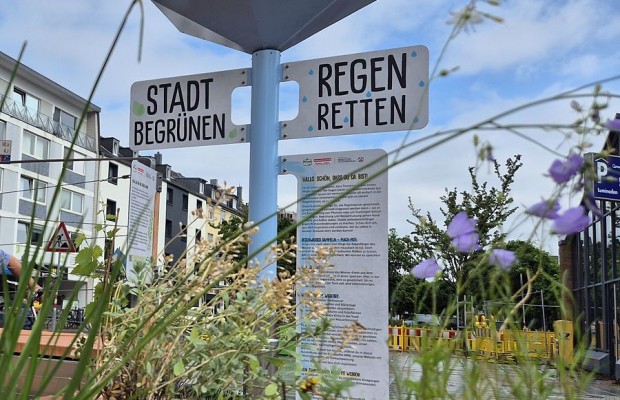Wegweiser mit den Aufschriften „Stadt begrünen“ und „Regen retten“ zwischen Pflanzen in der Höxteraner Innenstadt.