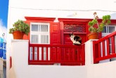 Rot-weiß gestrichenes Haus mit einer Katze auf einem roten Balkon und zwei Topfpflanzen.