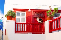 Rot-weiß gestrichenes Haus mit einer Katze auf einem roten Balkon und zwei Topfpflanzen.