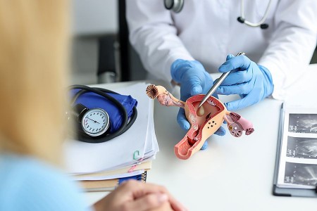 Arzt mit blauen Handschuhen erläutert an einem anatomischen Modell der Gebärmutter eine medizinische Untersuchung.