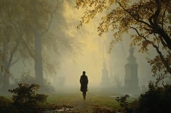 KI-generierte Darstellung eines einzelnen Spaziergängers in einem nebligen Park mit großen Bäumen und steinernen Denkmälern.