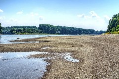 Niedriger Wasserstand an einem breiten Fluss mit großflächig freiliegendem Kiesufer und Bäumen am gegenüberliegenden Ufer.