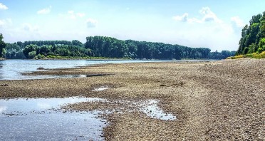 Niedriger Wasserstand an einem breiten Fluss mit großflächig freiliegendem Kiesufer und Bäumen am gegenüberliegenden Ufer.
