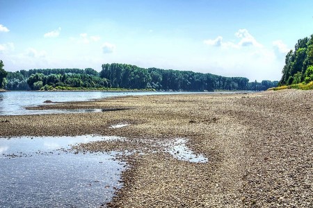 Niedriger Wasserstand an einem breiten Fluss mit großflächig freiliegendem Kiesufer und Bäumen am gegenüberliegenden Ufer.