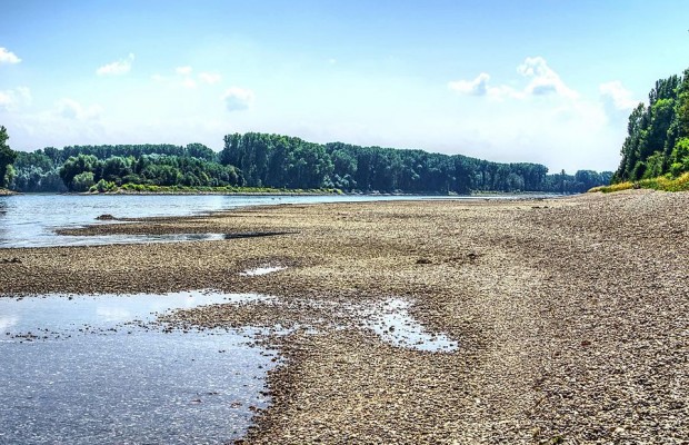 Niedriger Wasserstand an einem breiten Fluss mit großflächig freiliegendem Kiesufer und Bäumen am gegenüberliegenden Ufer.