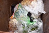 Blick in eine Biotonne mit mehreren Kunststoffbeuteln und organischen Abfällen.