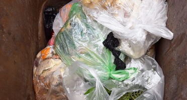 Blick in eine Biotonne mit mehreren Kunststoffbeuteln und organischen Abfällen.