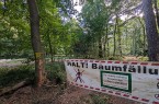 Waldweg bei Alverdissen mit Absperrung und Warnhinweis auf Baumfällarbeiten.