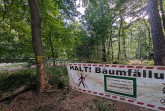 Waldweg bei Alverdissen mit Absperrung und Warnhinweis auf Baumfällarbeiten.