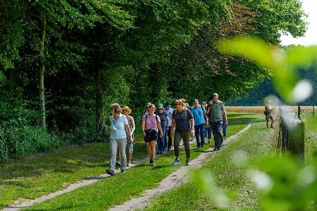 Eine Gruppe Erwachsener wandert auf einem Feldweg zwischen Waldrand und Getreidefeld im Kreis Gütersloh.