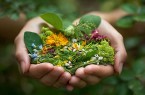 Zwei Hände halten eine Mischung aus grünen Wildkräutern sowie gelben, blauen, weißen und rosafarbenen Blüten.